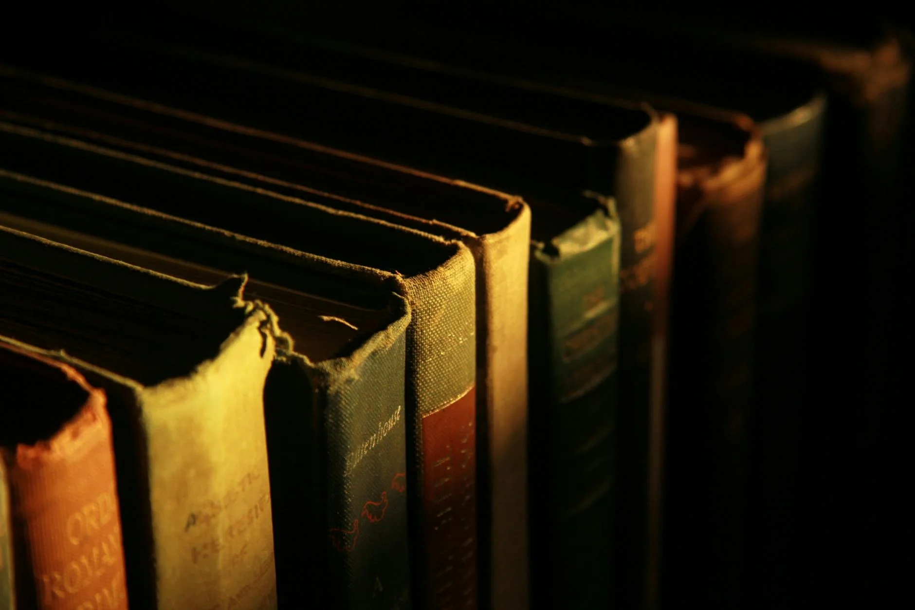 Fizioterapiya I Reabilitaciya