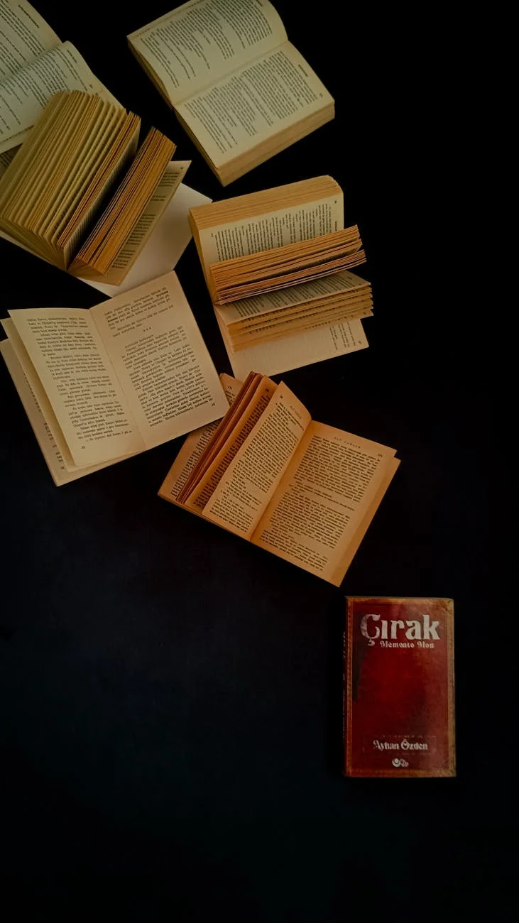 Медико-социальная экспертиза: порядок проведения и критерии