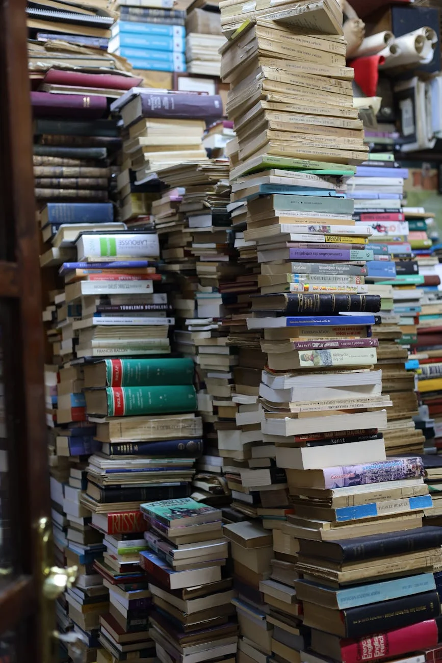 Pravovye Sistemy Mira