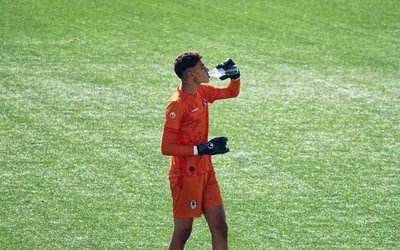 Arsenal Champions League Group Stage 2024 25 Analysis