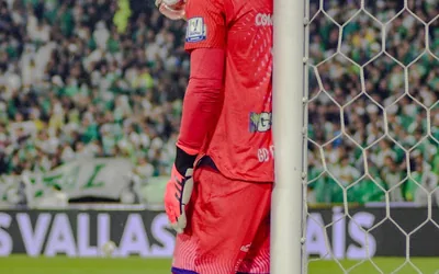 Arsenal Fan Clubs Global Network Complete Guide