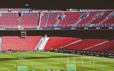 Article The Art And Science Of Essential Oil Extraction