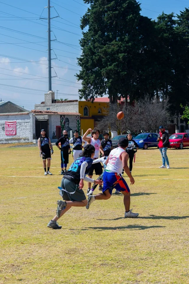 The Tiger Army: Fan Culture & 12th Man Impact